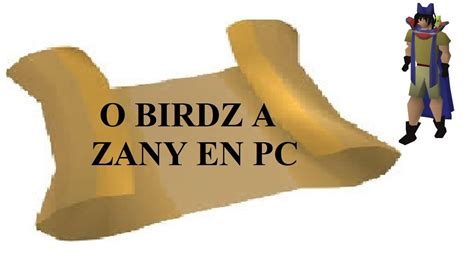 o birdz a zany en pc